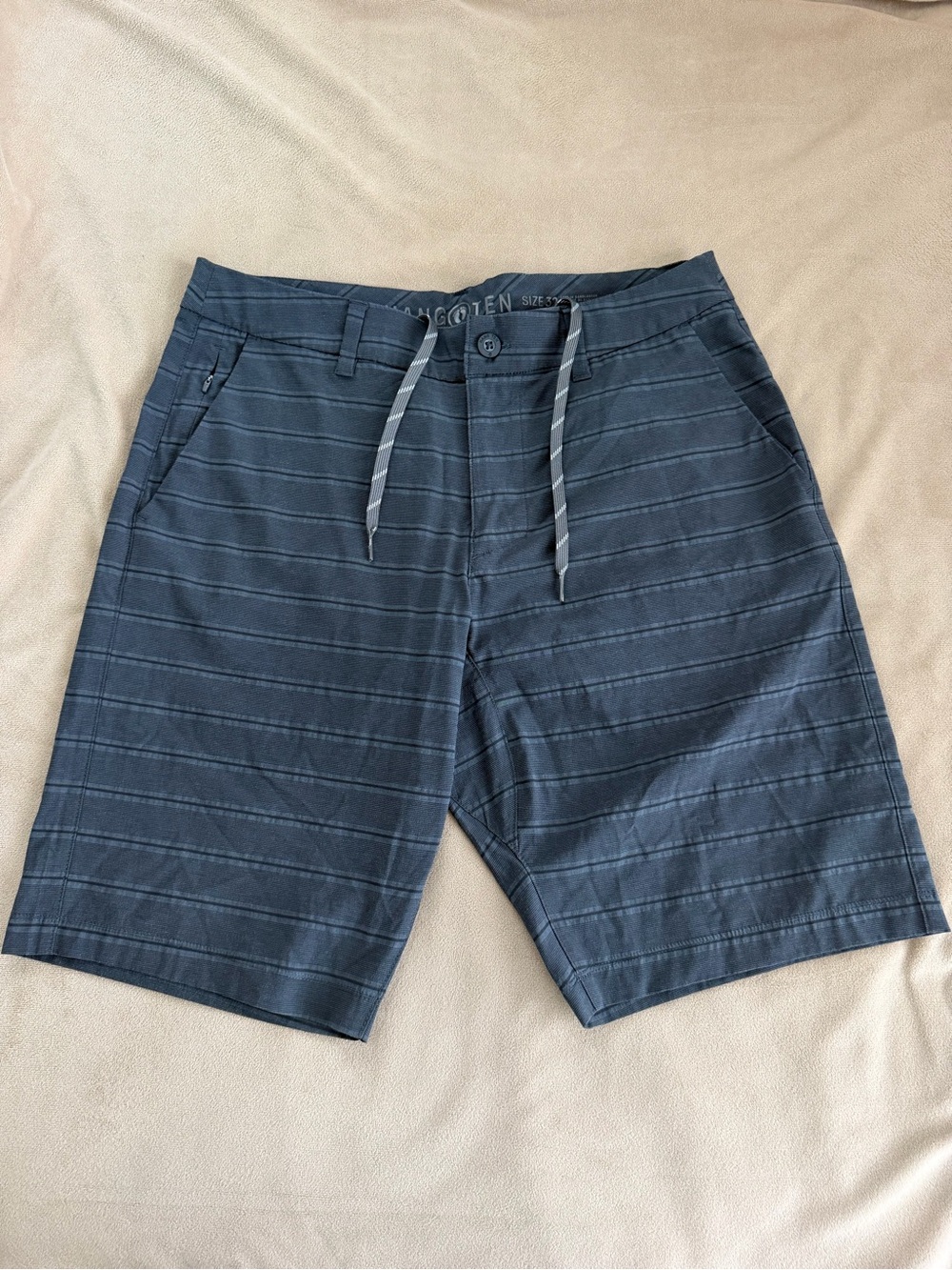 Hang Ten Blue Striped Hybrid Shorts
